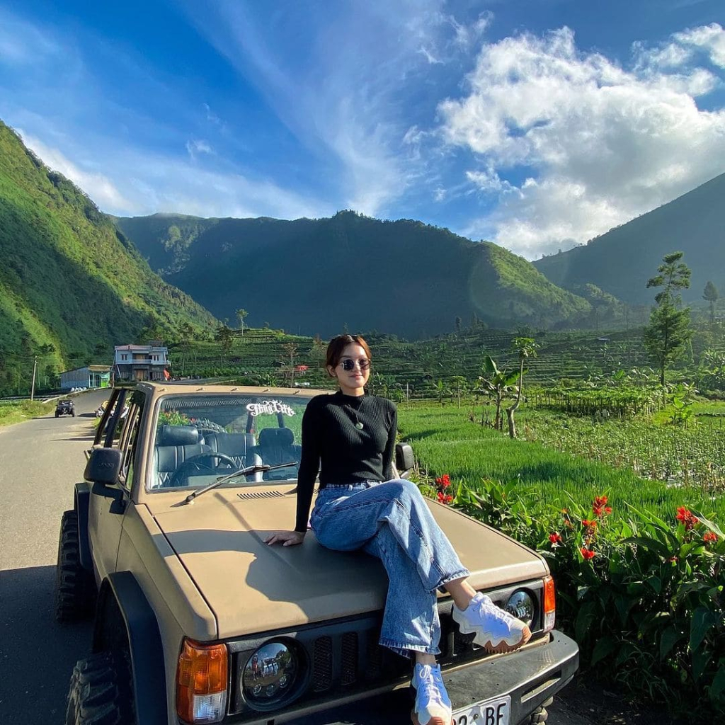 Swiss van Java